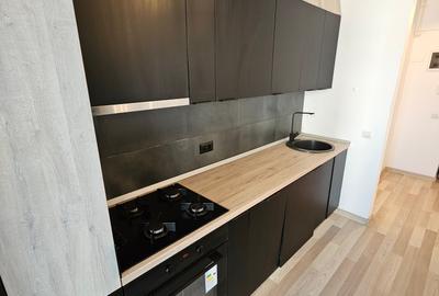 Apartament cu 2 camere decomandat, mobilat în Parcul Carol - 10