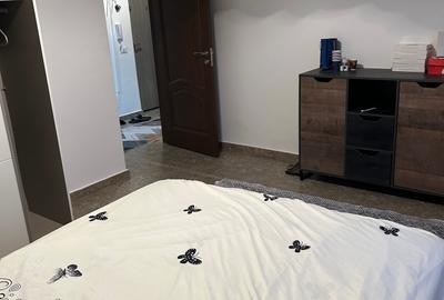 Apartament cu 2 camere decomandat, mobilat în Colentina - 15