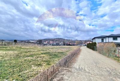 Teren de 2286 mp, în Mărgineni - 3