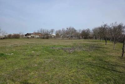 Casă cu 3 camere în Central - 6