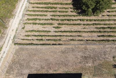 Teren de vanzare intravilan Carcea, 500 mp, toate utilitatile - 4