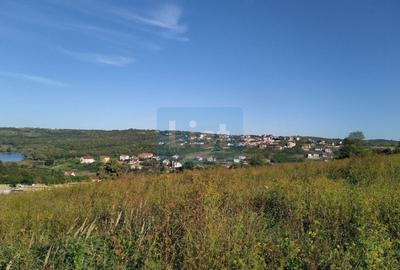 Teren Construcții extravilan de 11050 mp, în Orașul Nou - 3