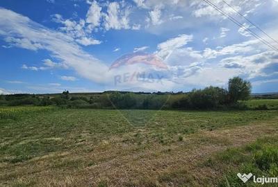 Teren de 12000 mp, în Pădureni (Șendriceni) - 2
