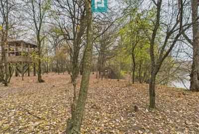 Teren agricol extravilan de 5000 mp, în Periam - 27