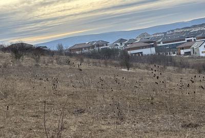 Spațiu comercial, în Central