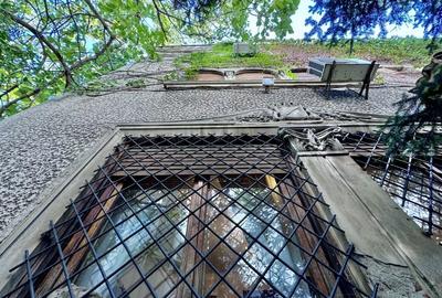 3 camere in vila Primaverii renovat Charles de Gaulle - 18