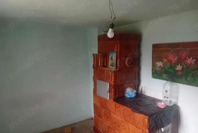 Casă cu 2 camere în Central - 8