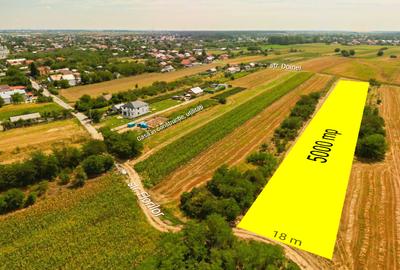 Teren intravilan construibil Bolintin Deal 5000 mp – dublă deschidere