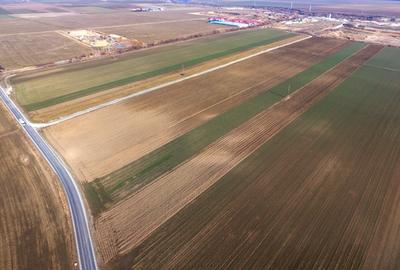 Teren agricol extravilan de 19239 mp, în Vulcan - 8