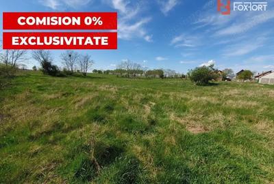 Comision 0% Teren intravilan 3000 mp in Padureni Jebel - 3