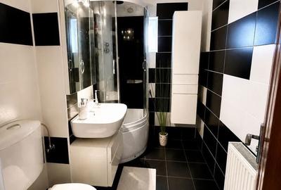 Apartament cu 2 camere decomandat în Balta Albă - 5