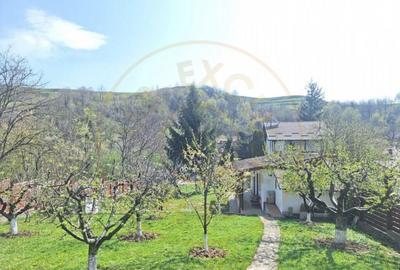 CASA DE VACANTA - UN MIC COLT DE RAI , STEFANESTI, ARGES CASA DE VACANTA - UN MIC COLT DE RAI , STEFANESTI, ARGES - 16