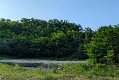 Teren de 4038 mp, în Central