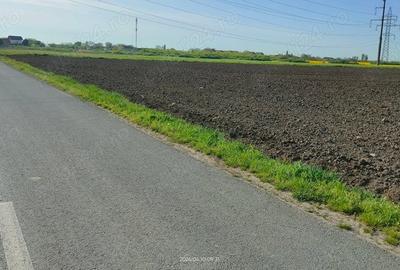 Teren de 10000 mp, în Cerneteaz - 3