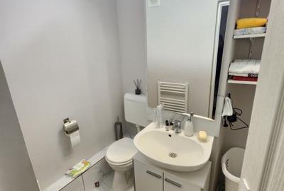 Apartament cu 3 camere decomandat, mobilat în Steaua - 10