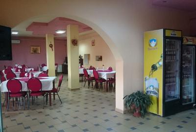 Spatiu comercial Salaj comuna Surduc - 2