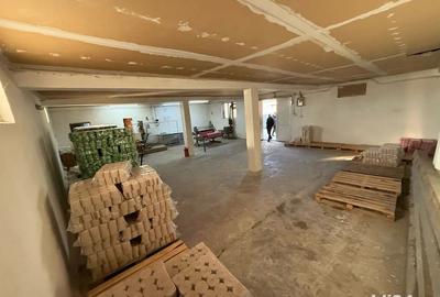 Spatiu comercial productie depozitare la 20 min de pitesti in poiana lacului - 9