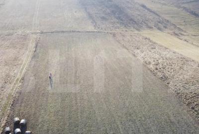 Teren de 5800 mp, în Chinteni - 3