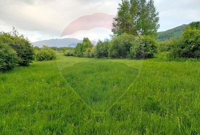 Teren Construcții intravilan de 4223 mp, în Tohănița - 7