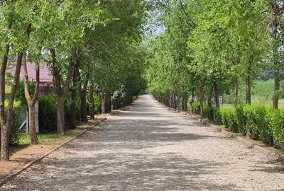 Loturi constructie intre 70-85 Euro/mp - Afumati, Strada Padurii