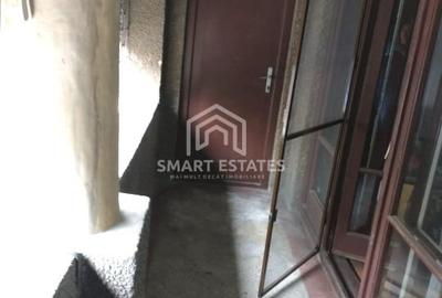 Parc Carol- Pta Unirii - apartament 3 camera - vila eleganta - 13