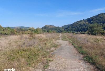Teren de 85000 mp, în Alexandru cel Bun - 5