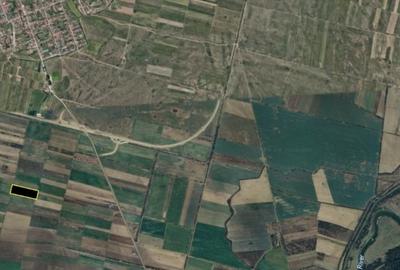 Teren agricol extravilan de 20000 mp, în Giroc - 3
