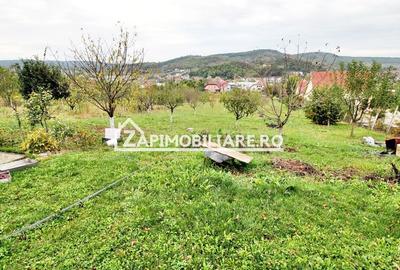Cazare muncitori 10 camere,3 bucătării,5 băi,10.000 mp teren - 8