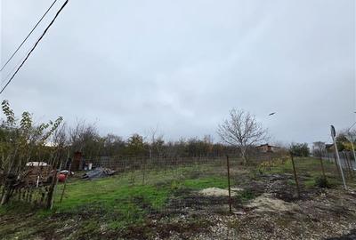 Teren Branesti - Str Oltului - 1600 mp - deschidere 16 ml - comision 0% - 4