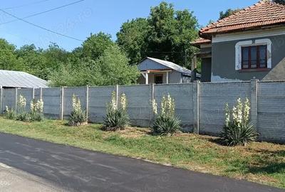 Teren de 4650 mp, în Vârvor - 8