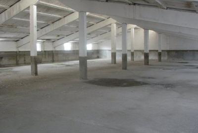 Spațiu industrial, de 1,200 mp, în Aeroport - 8