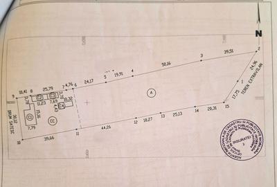 Casă cu 4 camere cu Teren 4870 Mp în Viziru - 2