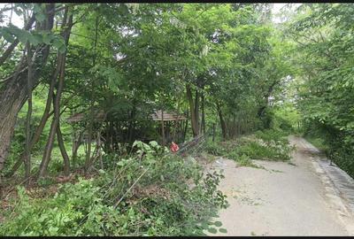 Spațiu comercial, în Măldărești