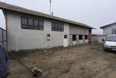 Spațiu comercial, în Nanov - 3