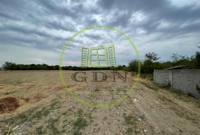 Teren intravilan 393mp cu utilitati la front situat in Braniste jud. Dolj - 1