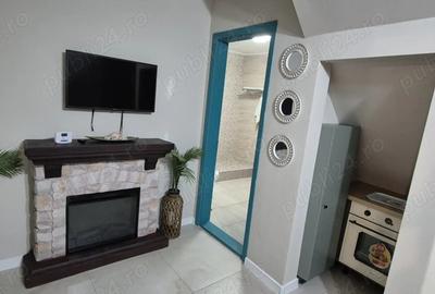 Casa P+1 - Mamaia Sat , Hanul cu Peste - 13