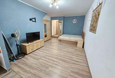 CALEA CALARASILOR/UNIRII/GARSONIERA IN VILA/CENTRALA PROPRIE/ CALEA CALARASILOR/UNIRII/GARSONIERA IN VILA/CENTRALA PROPRIE/ - 5