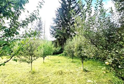Vanzare teren investitie retail in Gura Humorului - Bld. Bucovinei - 8