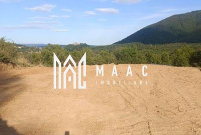 Spațiu comercial, în Prislop - 2