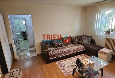 Apartament cu 2 camere în Cetate - 5