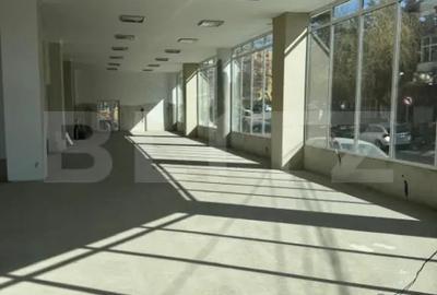 Spațiu comercial, de 300 mp, în Valea Rosie - 2