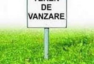 Teren de 2100 mp, în Peciu Nou - 1