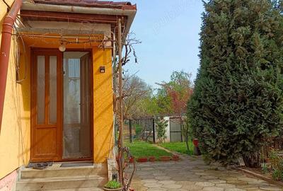 Casă cu 5 camere în Lugoj - 4