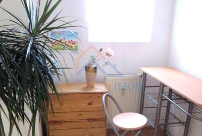 Vanzare Garsoniera Drumul Taberei - Parcul Constantin Brancusi Vanzare Garsoniera Drumul Taberei - Parcul Constantin Brancusi - 4