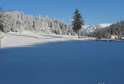 Teren de 5200 mp, în Fundata - 4