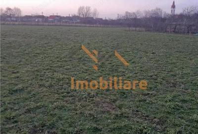 Casă cu 4 camere cu Teren 5526 Mp în Cheșa - 1