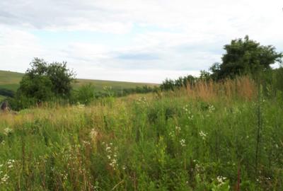 Spațiu comercial, în Rediu - 3