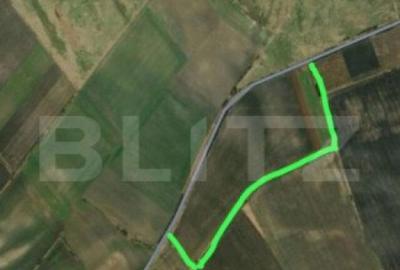 Teren de 250000 mp, în Central