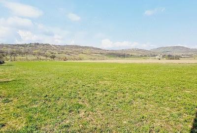 Teren de 8906 mp, în Dofteana - 3