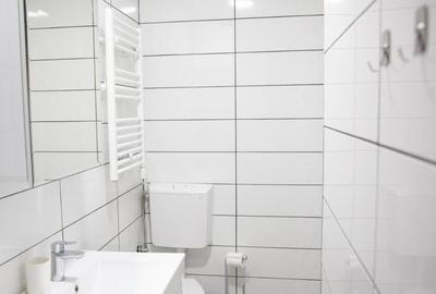 Garsoniera de inchiriat Aurel Vlaicu - 1